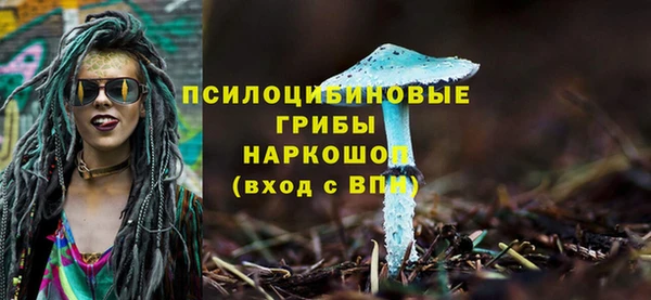 трава Зеленодольск